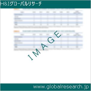 グローバルリサーチ調査レポートのイメージ